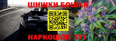 индика Янаул